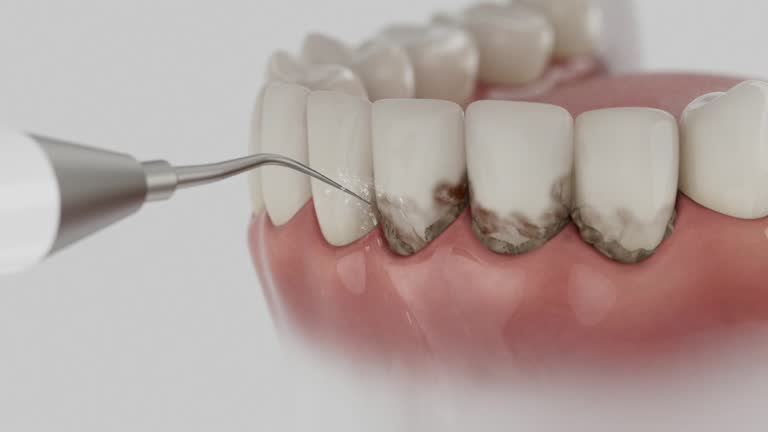 Reliable Dental contractor in Marlborough, MO by Dentist Open Now